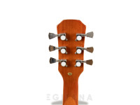 Austin Les Paul Gold 6-String Guitar AS6PROGT